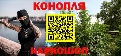 спиды Кингисепп
