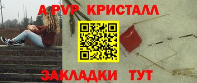спиды Кингисепп