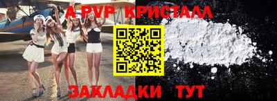 спиды Кингисепп