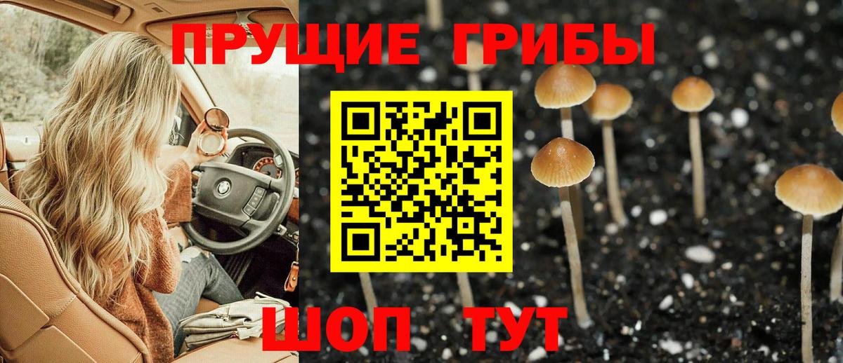 Псилоцибиновые грибы GOLDEN TEACHER  Вход с VPN  Котельники 